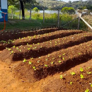 07.06.2022 Prefeitura, SENAR e Sindicato Rural dão início ao Programa Jovem Agricultor do Futuro (3)