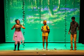 Teatro Fauno e Flora - Protegendo a Natureza levou educação ambiental para o público5