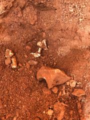 24.05.2022 Ossadas humanas são encontradas após início das obras de revitalização da Igreja do Rosário (5)