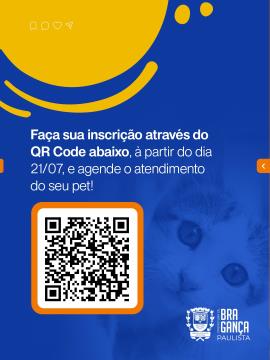 arte 06