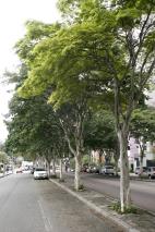 Exemplar 011112345678