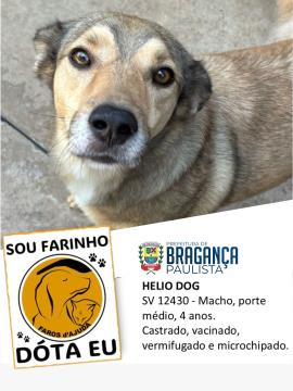 Helio