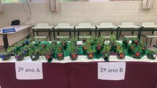 Feira do Projeto JEPP  (7)