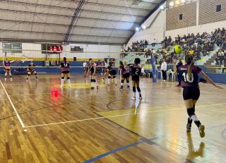 Volei feminino