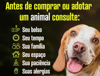 Sem título