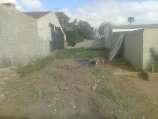 WhatsApp Image 2020-08-04 at 13.10.45