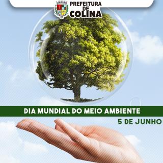 ARTE - DIA MUNDIAL MEIO AMBIENTE
