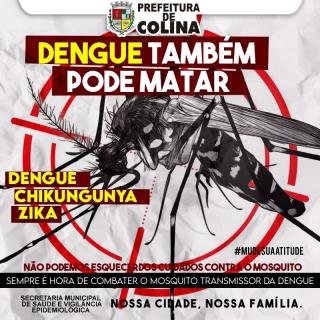 ARTE -  DENGUE