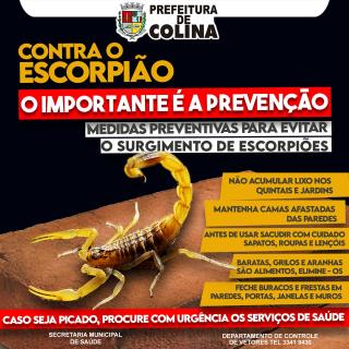 ARTE - Combate ao ESCORPIÃO - Site