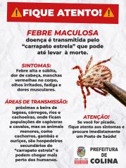 ARTE - Febre Maculosa - JPG