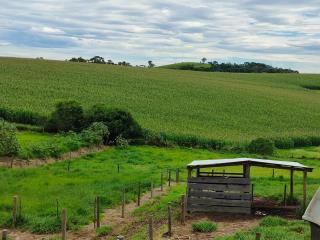 dia de campo (1)