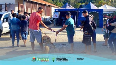 01 - Castração de cães e gatos no bairro do Cedro. Divulgação