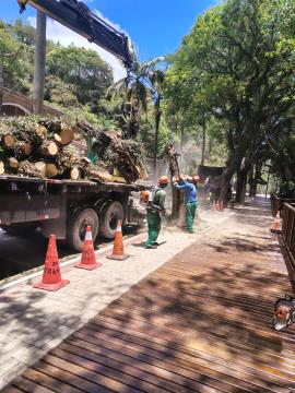 WhatsApp Image 2026-01-20 at 09.35.09 (3)