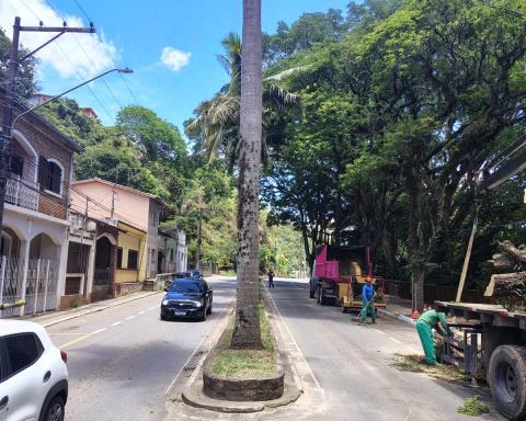 WhatsApp Image 2026-01-20 at 09.35.09 (1)