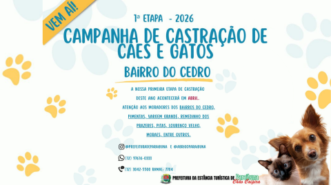 Post instagram castração cães e gatos clínica veterinária divertido azul e laranja (Site)