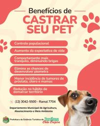 WhatsApp Image 2025-03-25 at 09.42.45 (1)