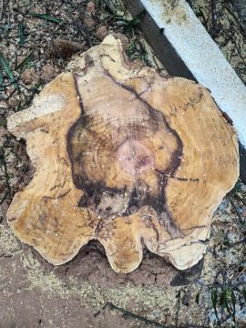 WhatsApp Image 2026-01-20 at 09.35.10