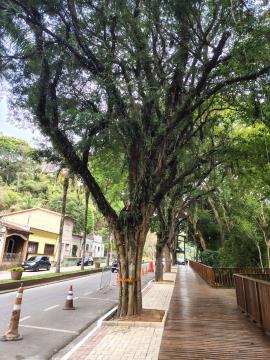 WhatsApp Image 2026-01-20 at 09.35.43 (1)