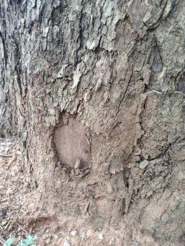 WhatsApp Image 2026-01-20 at 09.35.43 (3)