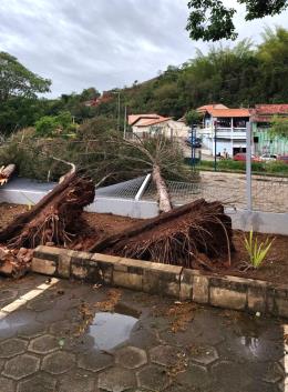 WhatsApp Image 2025-11-10 at 09.59.27 (1)