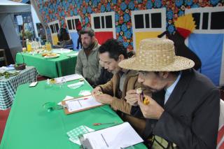 Domingo Festa Folclore e Festival Cambuci (182)