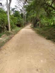 Roçada Estrada Capim D'Angola (1)