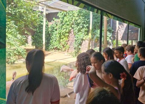 WhatsApp Image 2025-11-28 at 17.44.06 (3)