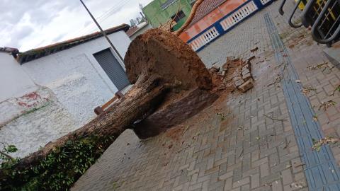 WhatsApp Image 2025-11-10 at 09.59.27 (3)