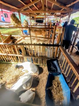 IMG_20260614_132250485_HDR~2.jpg