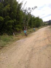 WhatsApp Image 2022-06-27 at 16.56.53