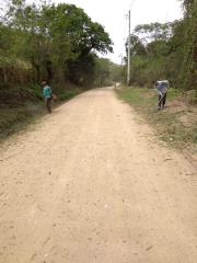 Roçada Estrada Capim D'Angola (6)