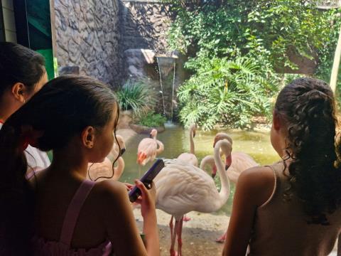 WhatsApp Image 2025-11-28 at 17.44.06