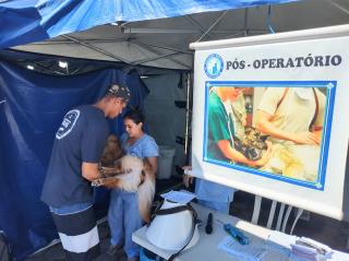 g_63_3_6_08062022203339