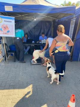 WhatsApp Image 2026-04-26 at 18.49.08