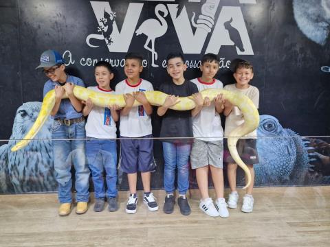 WhatsApp Image 2025-11-28 at 17.48.01