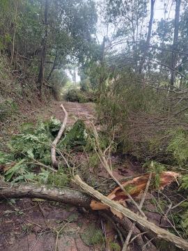 WhatsApp Image 2025-11-10 at 09.59.28 (2)