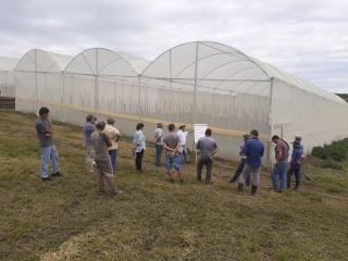 dia de campo (14)