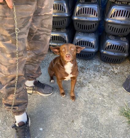 WhatsApp Image 2026-04-26 at 18.49.09