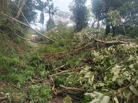 WhatsApp Image 2025-11-10 at 09.59.28 (3)