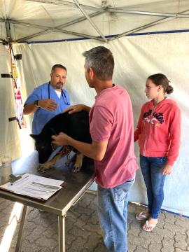 WhatsApp Image 2026-04-26 at 18.49.14 (1)