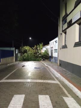 WhatsApp Image 2025-11-10 at 09.59.28