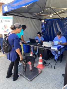 WhatsApp Image 2026-04-26 at 18.49.14