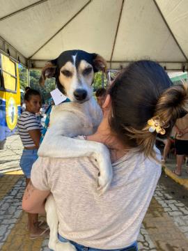 WhatsApp Image 2026-04-26 at 18.49.15