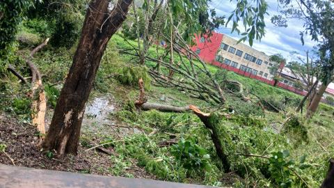 WhatsApp Image 2025-11-10 at 09.59.29 (2)