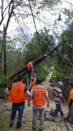 WhatsApp Image 2025-11-10 at 10.00.08 (2)