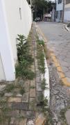 Antes e depois capina rua (2)