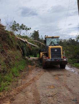 WhatsApp Image 2025-11-10 at 10.00.08