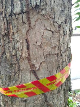 WhatsApp Image 2026-01-20 at 09.35.43 (2)