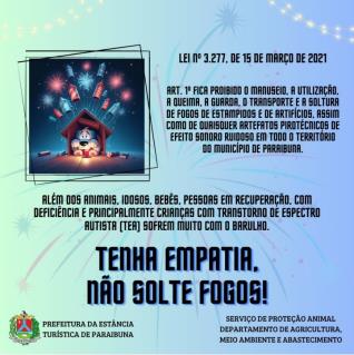 Fogos2