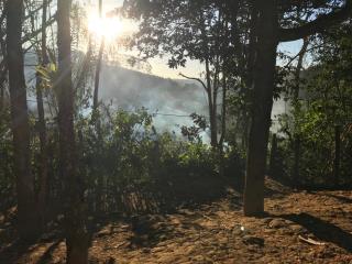 WhatsApp Image 2023-07-06 at 08.14.15